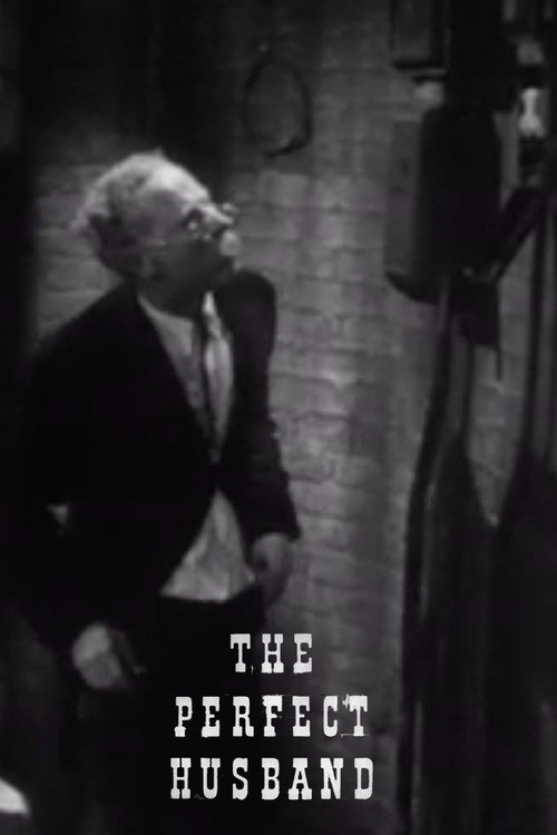 The Perfect Husband Poster