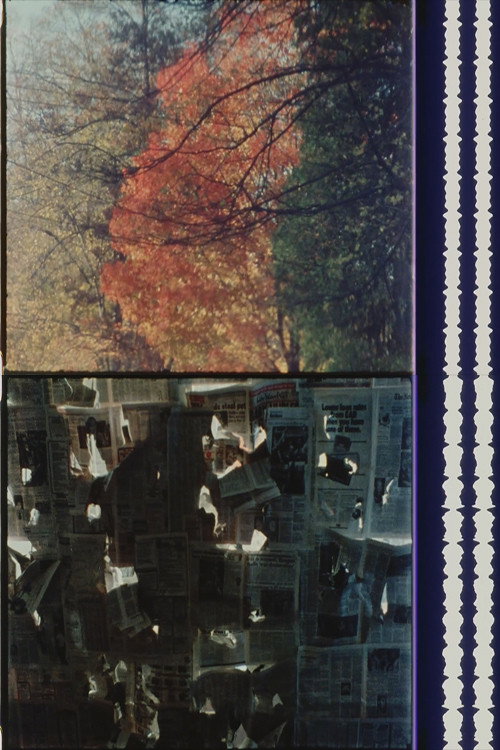 Cheap Imitations Part V/VI: Terms of Analysis Poster