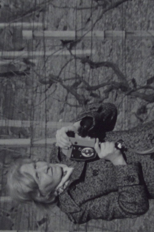 Diary of a Narrow-Gauge Filmmaker Poster