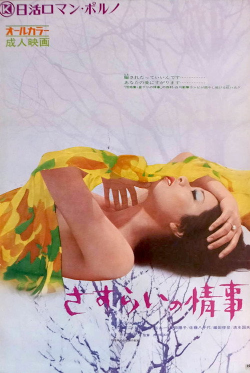 Drifter's Affair Poster