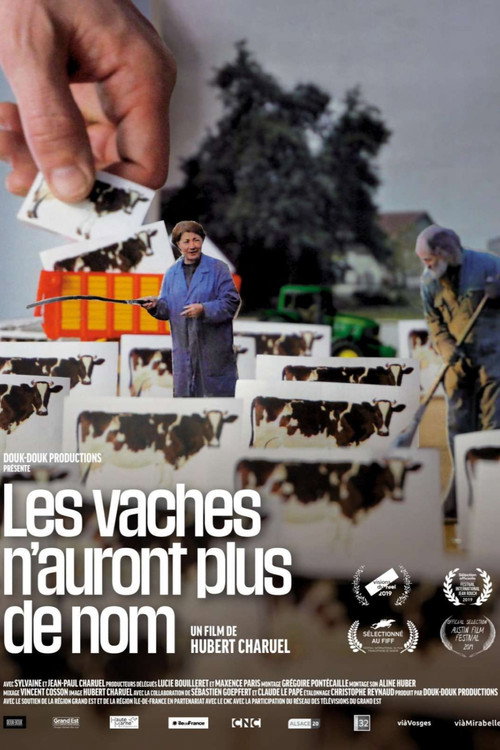 Cows With No Name Poster