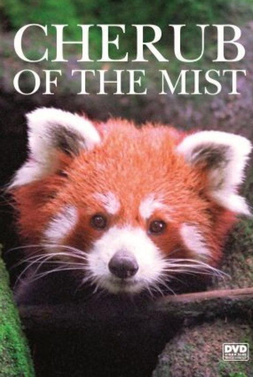 Cherub of the Mist Poster