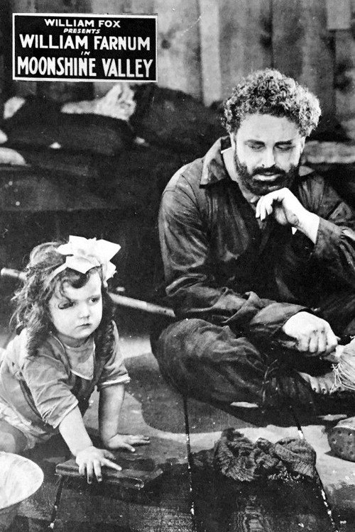 Moonshine Valley Poster