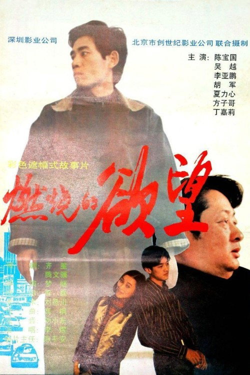 燃烧的欲望 Poster