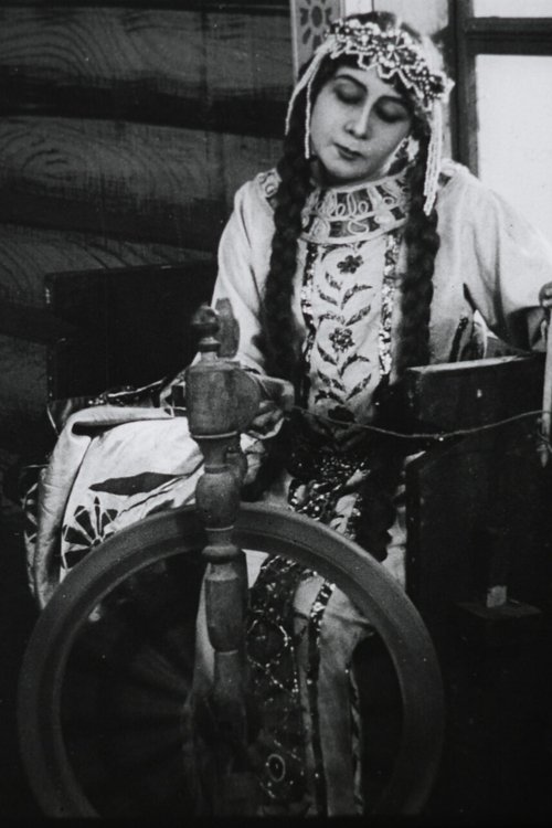 The Tale of the Sleeping Princess and the Seven Knights Poster