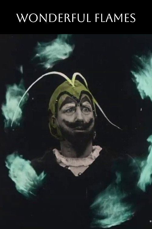 Wonderful Flames Poster