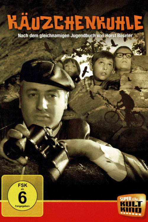 Treasure on the Bottom of the Lake Poster