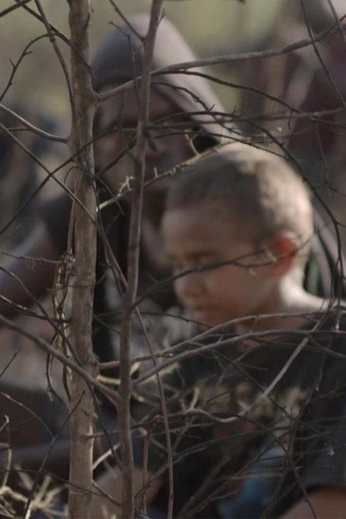 When the Dogs Talked Poster