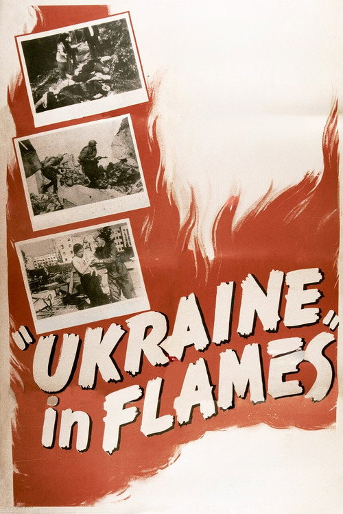 Ukraine in Flames Poster