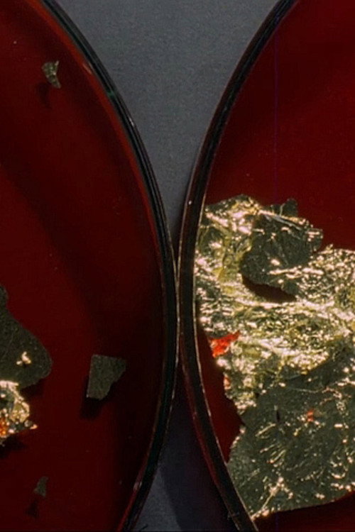 Approach/Withdraw Poster