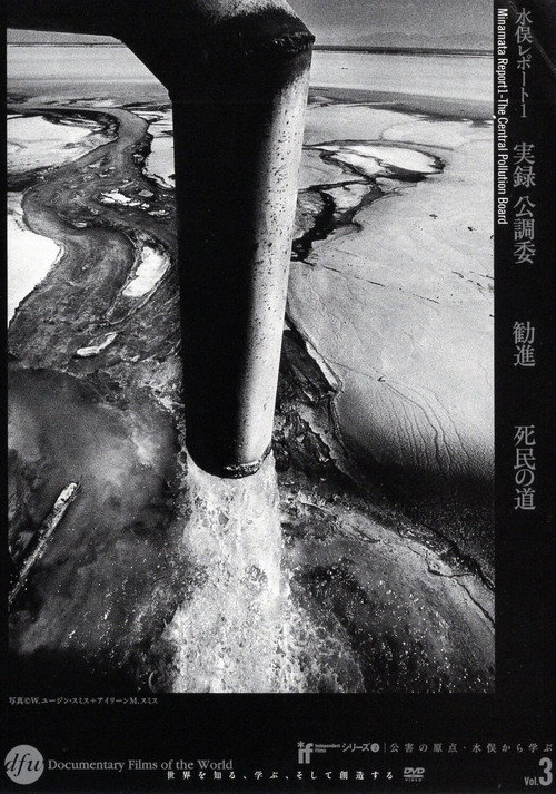 Minamata Report 1 - The Central Pollution Board Poster