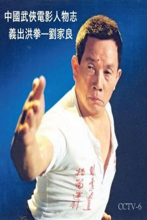 The Master of Martial Arts film director : Lau Kar-leung Poster