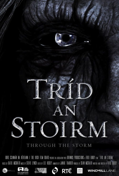 Through the Storm Poster