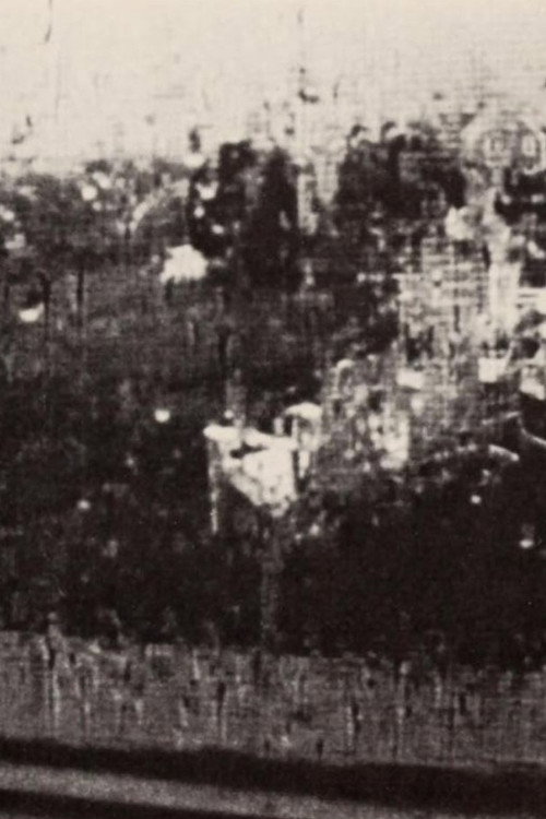 Group VIII: Hidden Tracings/Exposed Fragrances Poster