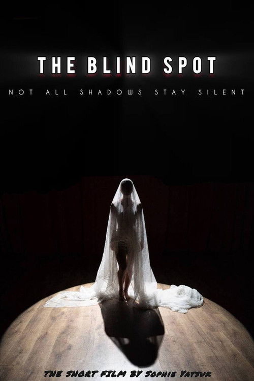 The Blind Spot Poster