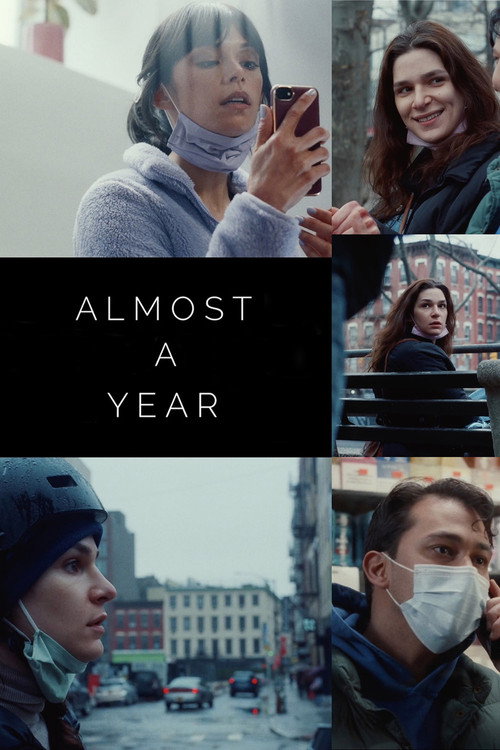 Almost a Year Poster