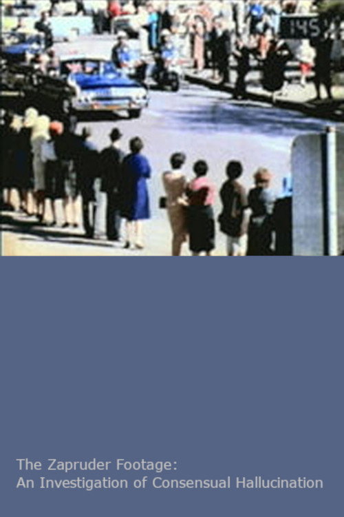 The Zapruder Footage: An Investigation of Consensual Hallucination Poster
