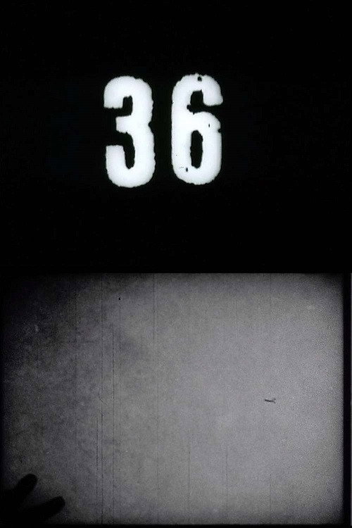 Fluxfilm No. 36 Poster