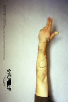 Taiwan Black Movies Poster