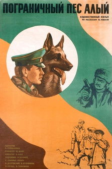 Border Dog Scarlet Poster