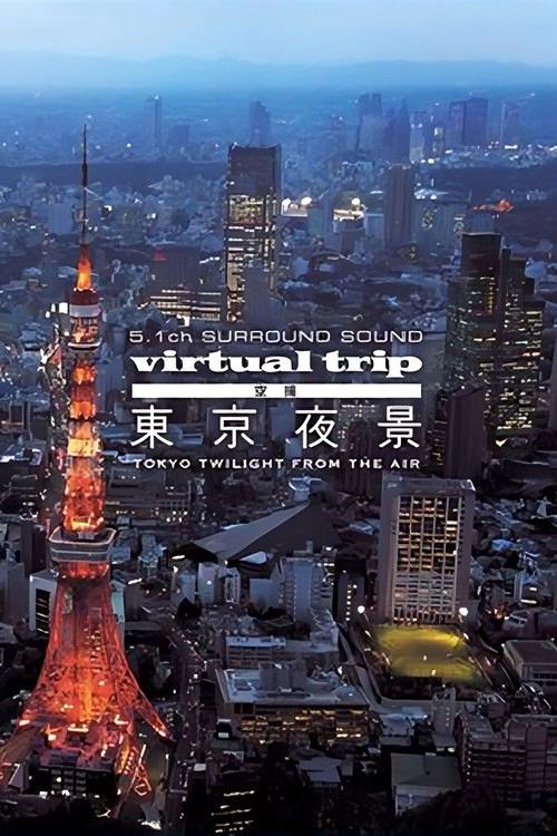 Virtual Trip: Tokyo Twilight from the Air Poster
