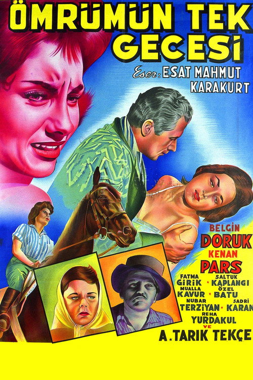 Ömrümün Tek Gecesi Poster