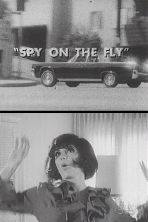 Spy on the Fly Poster