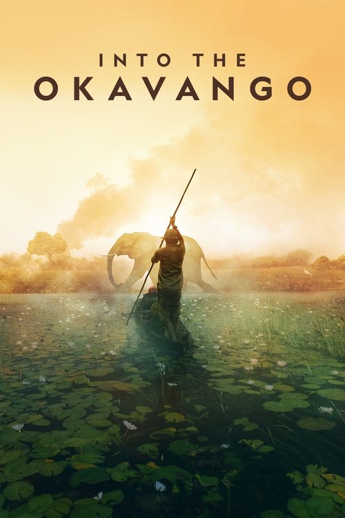 Into the Okavango Poster