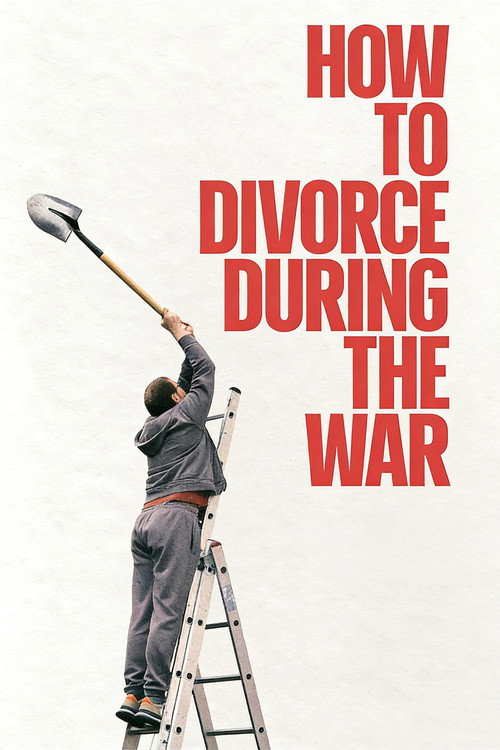 How to Divorce During the War Poster