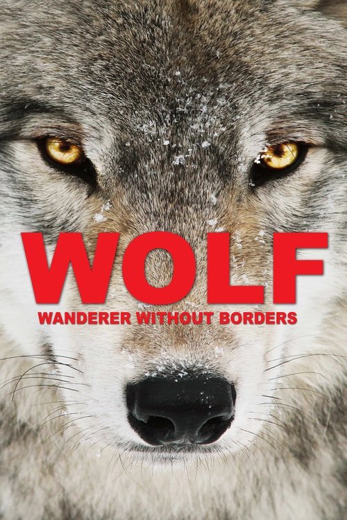 Wolf: Wanderer Without Borders Poster