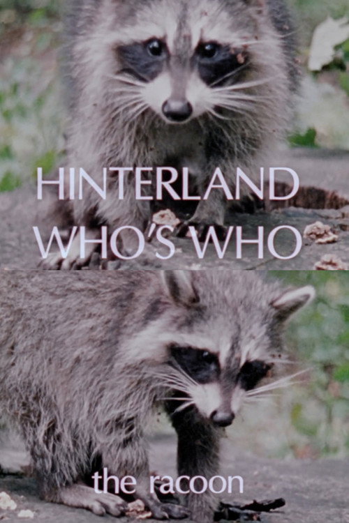 Hinterland Who's Who: The Raccoon Poster