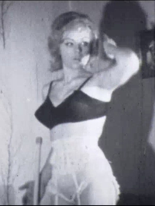 Model Maid Poster