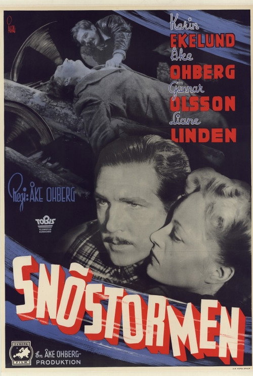 Snöstormen Poster