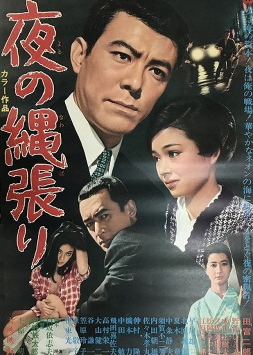 Territory of the Night Poster