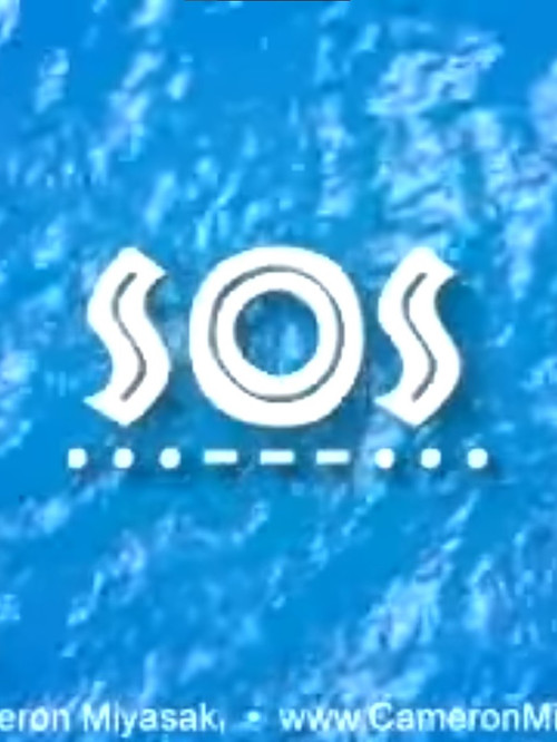SOS Poster