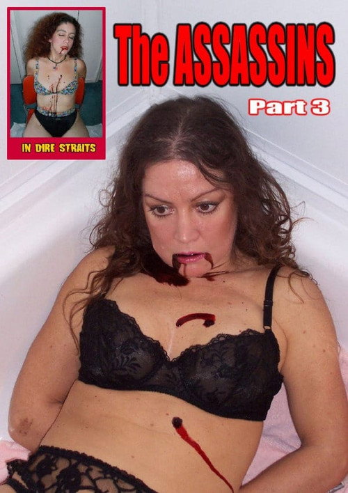 The Assassins Part 3 Poster