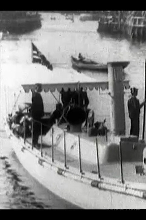 Kong Haakons og Dronning Mauds Besøg i Danmark Poster