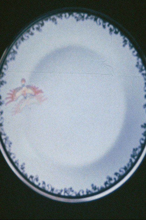 Bone China Poster