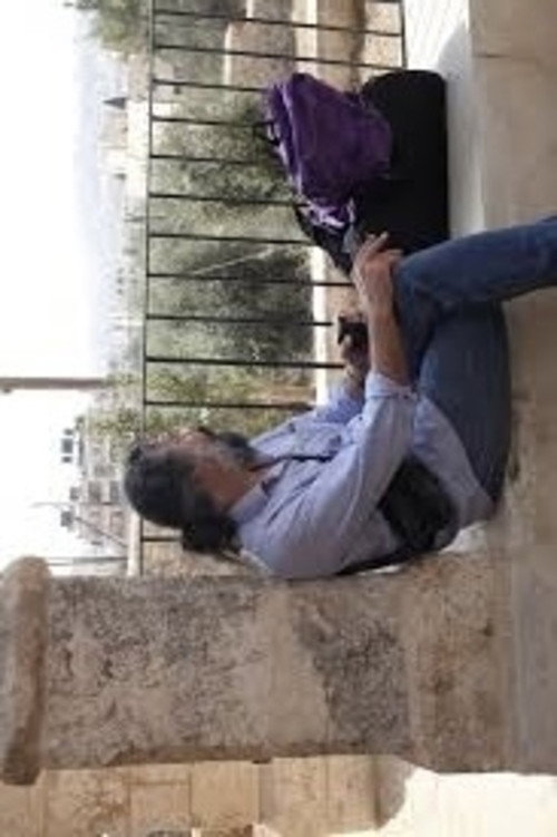 Quiver of a Branch in the Wind Poster