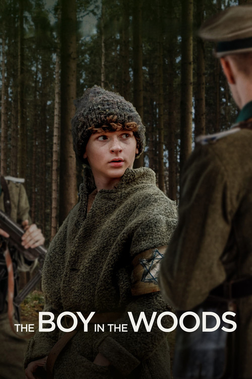 The Boy in the Woods Poster