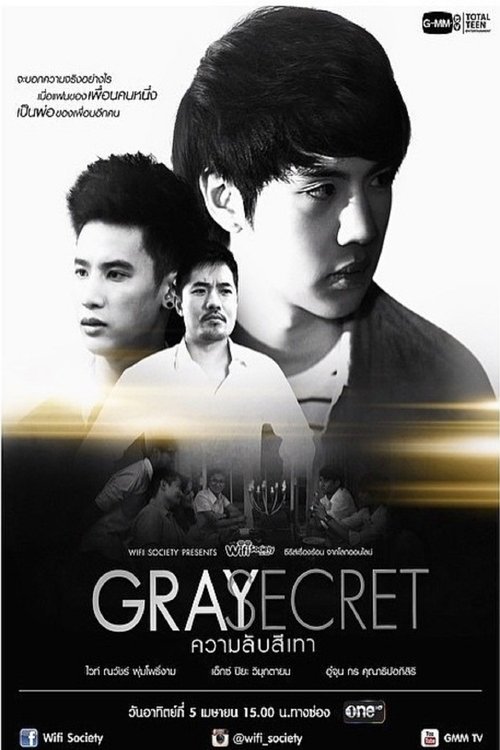 Wifi Society: Gray Secret Poster