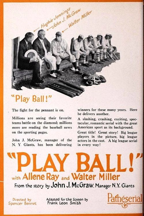 Play Ball Poster