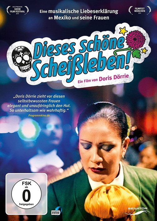 Que caramba es la vida Poster