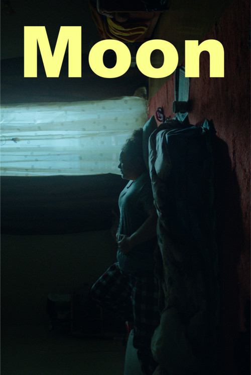 Moon Poster