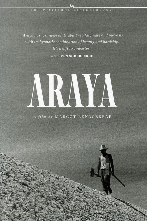 Araya Poster