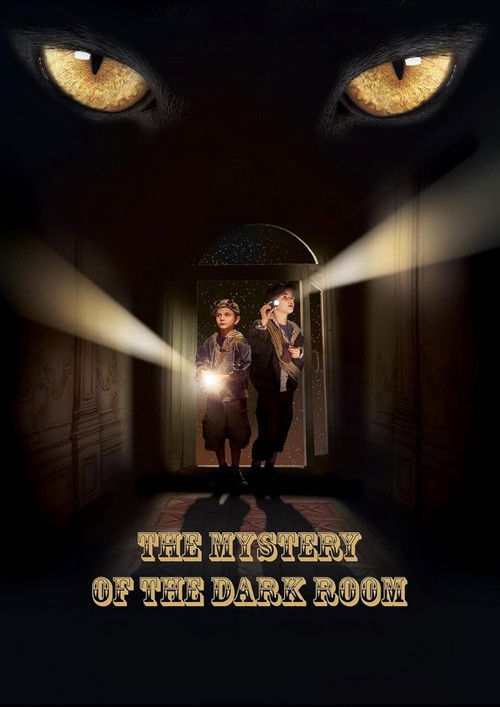A Dark Room Mystery Poster