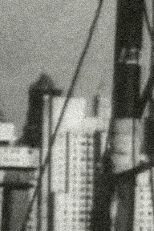 In the House of Equal and Opposite Reaction Poster