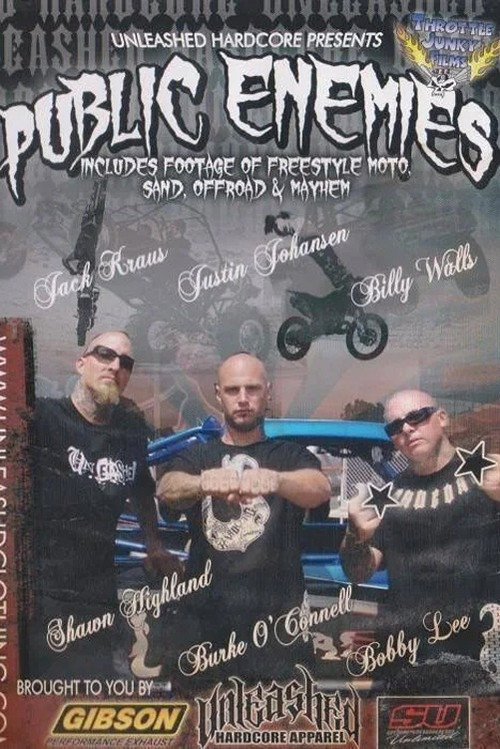 Public Enemies Poster