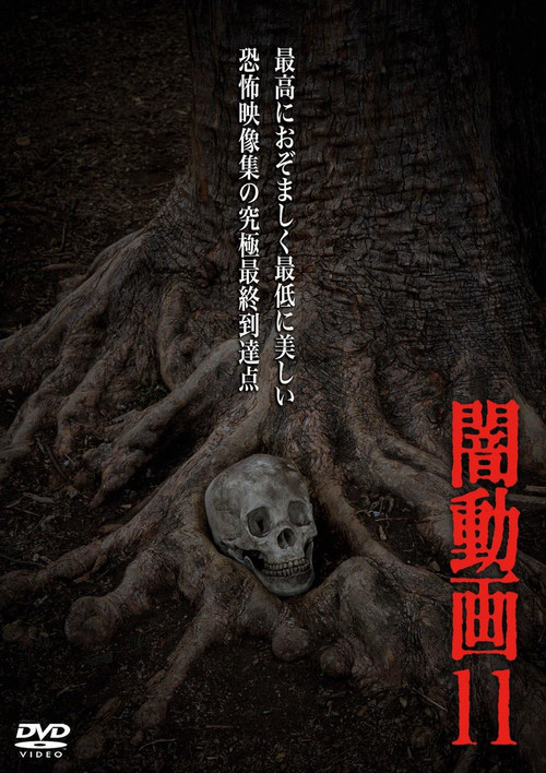 Tokyo Videos of Horror 11 Poster