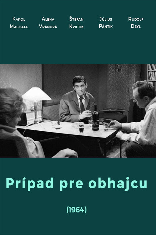 Prípad pre obhajcu Poster